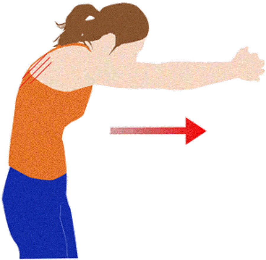 肩甲骨ストレッチは気を付けて 礒谷療法ベースの股関節整体 鴨下
