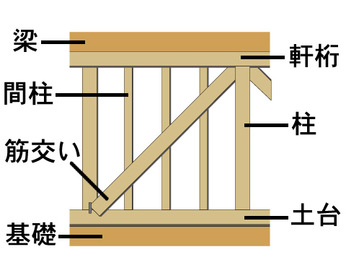 体の構造と筋交い