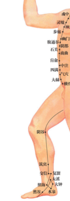 腎経　礒谷式力学療法　西荻窪整体　股関節痛