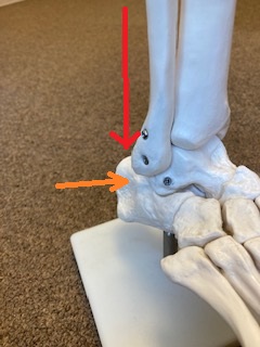 足裏の痛み　足の裏の違和感　足底筋膜炎　西荻窪整体