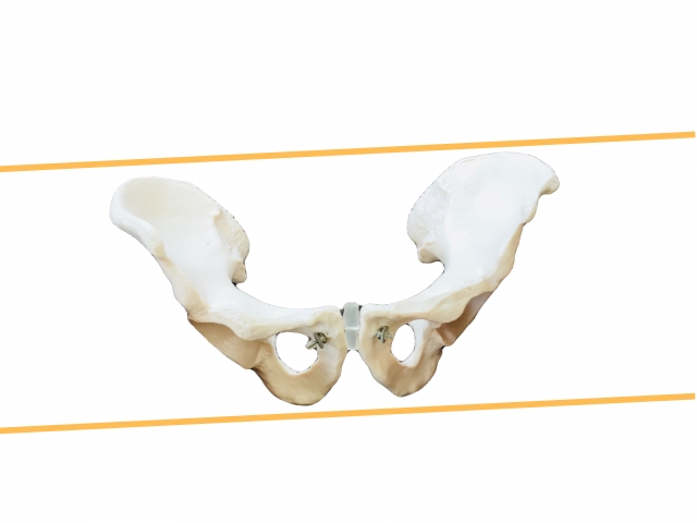 体の歪み　西荻窪　体の左右差　整体　CS60　礒谷式力学療法　