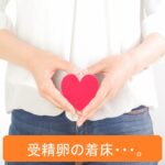 受精卵の着床　不妊治療　整体　西荻窪　杉並