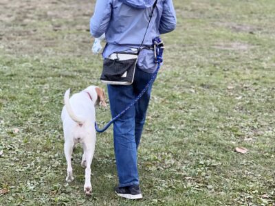 歩く時の骨盤の動き